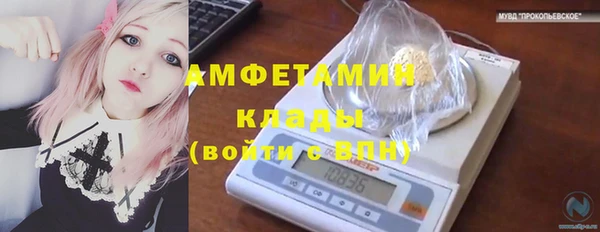 молекула духа Зеленодольск