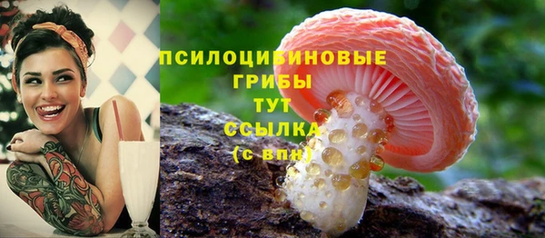 молекула духа Зеленодольск