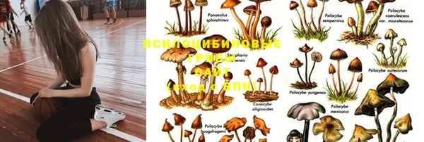MESCALINE Зерноград