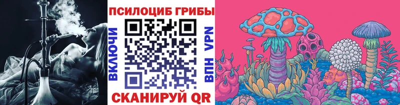 цена наркотик  Ивангород  Псилоцибиновые грибы мицелий 
